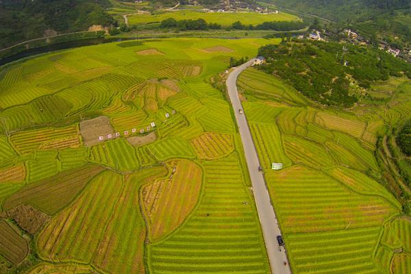 农谚天旱锄田，雨水浇园是什么意思