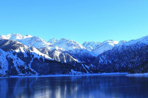 天山雪鸡苗多少钱？天山雪鸡养殖成本及利润分析